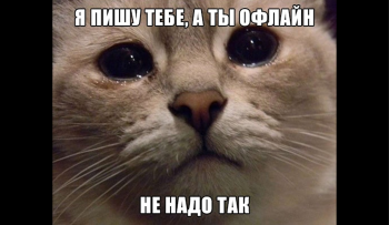 как вести практику