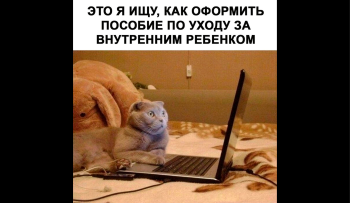 как получить соц выплату