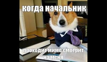 как выбрать научного руководителя