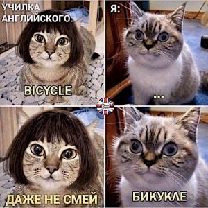 реферат на английском 