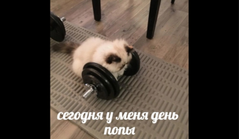 как выбрать спортивную секцию