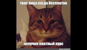 курсы для студентов вузов