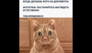 документы на восстановление в ВУЗ
