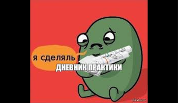 оформить дневник практики