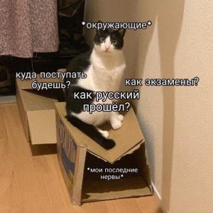 как распределить время на егэ 