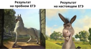 тревога перед ЕГЭ
