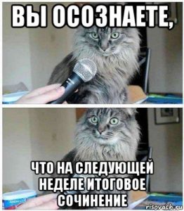 Чем эссе отличается от сочинения: