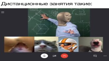 дистанционное обучение на сессии