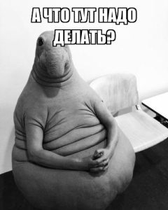 академическая справка о периоде обучения