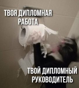 Где заказать диплом 142