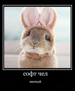 софты для студентов