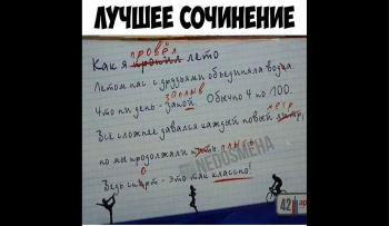 Чем эссе отличается от сочинения: