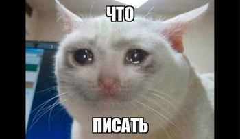 справка об обучении 2025