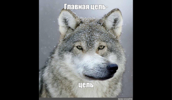 цели и задачи презентации