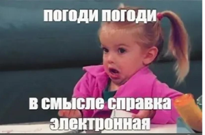 справка об обучении 2025