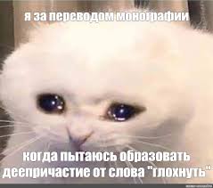 Научная монография