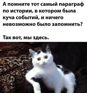 Поэтому вопрос как готовиться к экзамену по такому сложному предмету встает довольно остро, особенно когда на горизонте маячит сессия.
