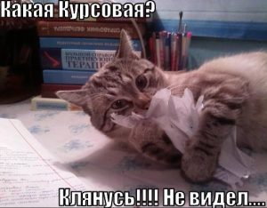 Курсовая работа по филологии