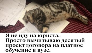 На что обратить внимание, когда заключаешь договор на обучение в ВУЗе?