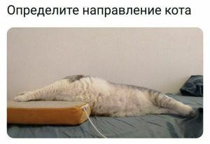 Где взять целевое направление в вуз