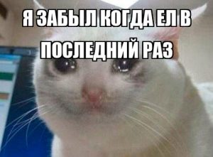 Как быстро запомнить информацию