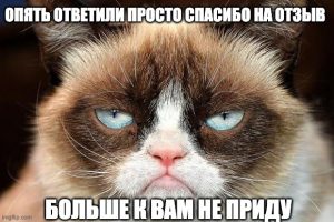 Отзыв научного руководителя