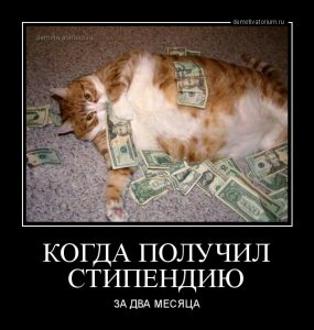 Что такое академическая стипендия