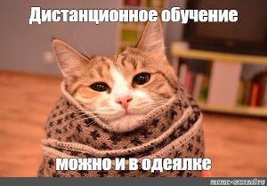 Суть дистанционного обучение в ВУЗе