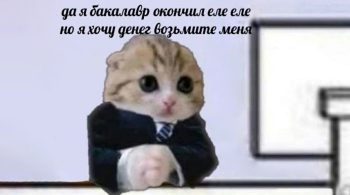Диплом бакалавра и специалиста: в чем разница?