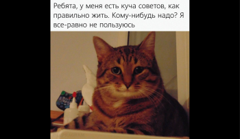 Основная часть реферата