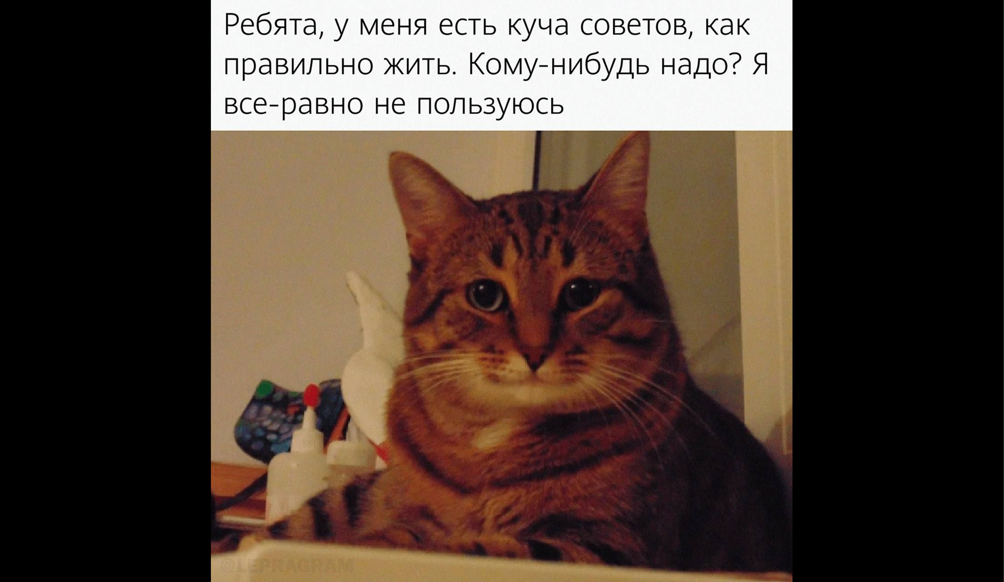 Основная часть реферата