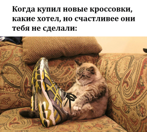 Студенческий спорт