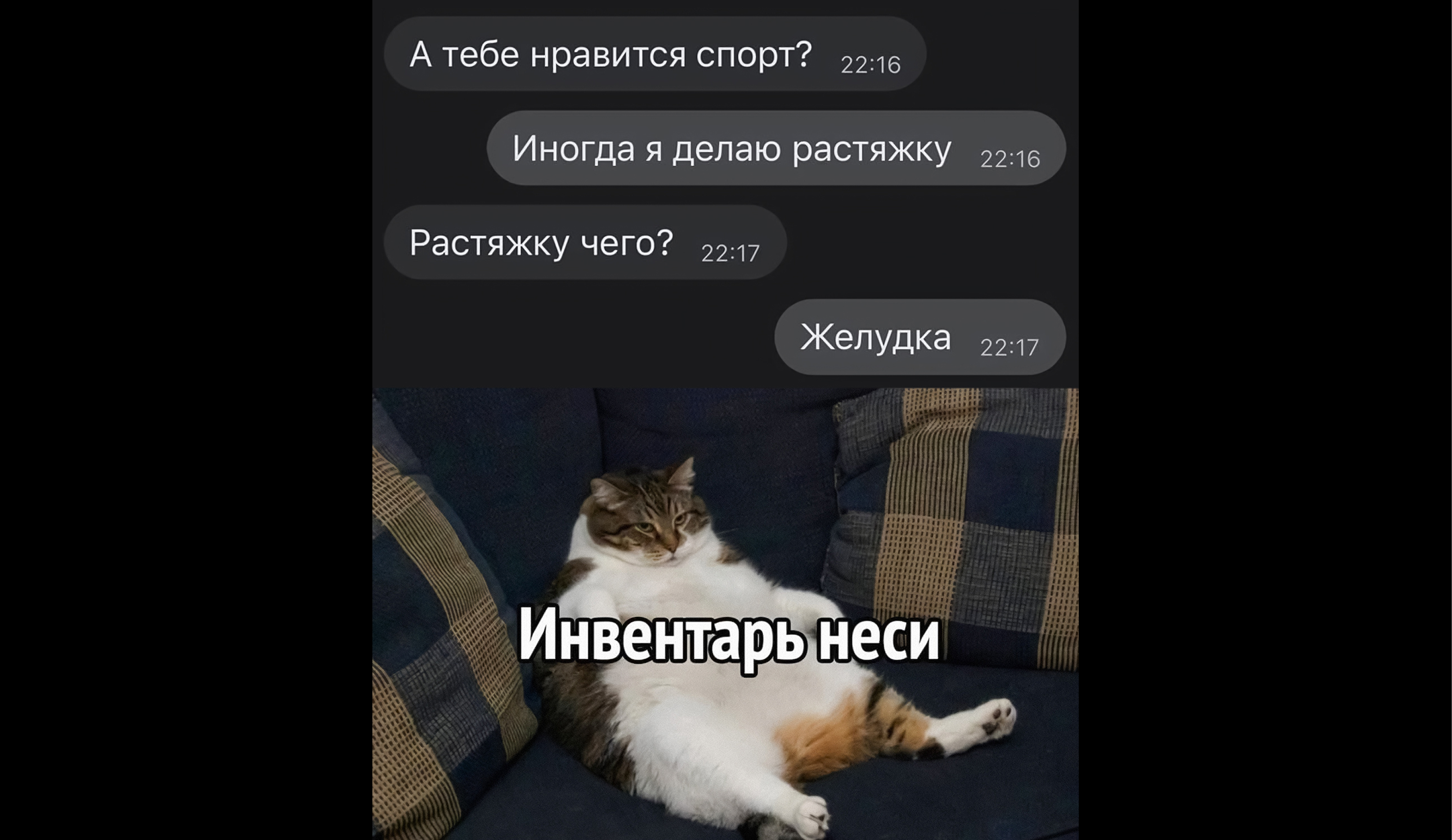 Студенческий спорт
