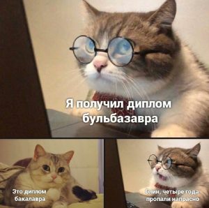 Что такое специальность и квалификация по диплому?