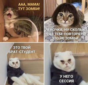 Можно ли сдать сессию досрочно и как это сделать