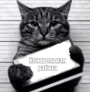 Что такое рецензия на контрольную работу и зачем она нужна?