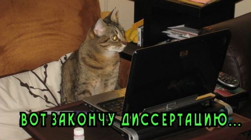 Что такое положения на защиту диссертации?
