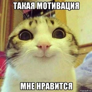 Как написать мотивационное письмо в аспирантуру?