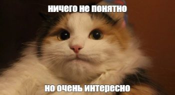 Гипотеза исследования в диссертации – как ее написать?