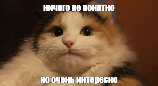 Гипотеза исследования в диссертации – как ее написать? Гипотеза исследования в диссертации – как ее написать?