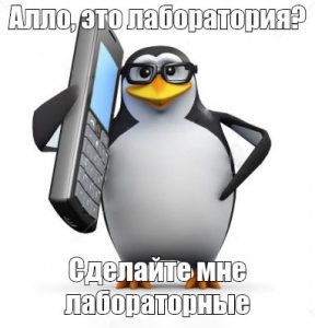 Как правильно написать вывод в лабораторной работе?