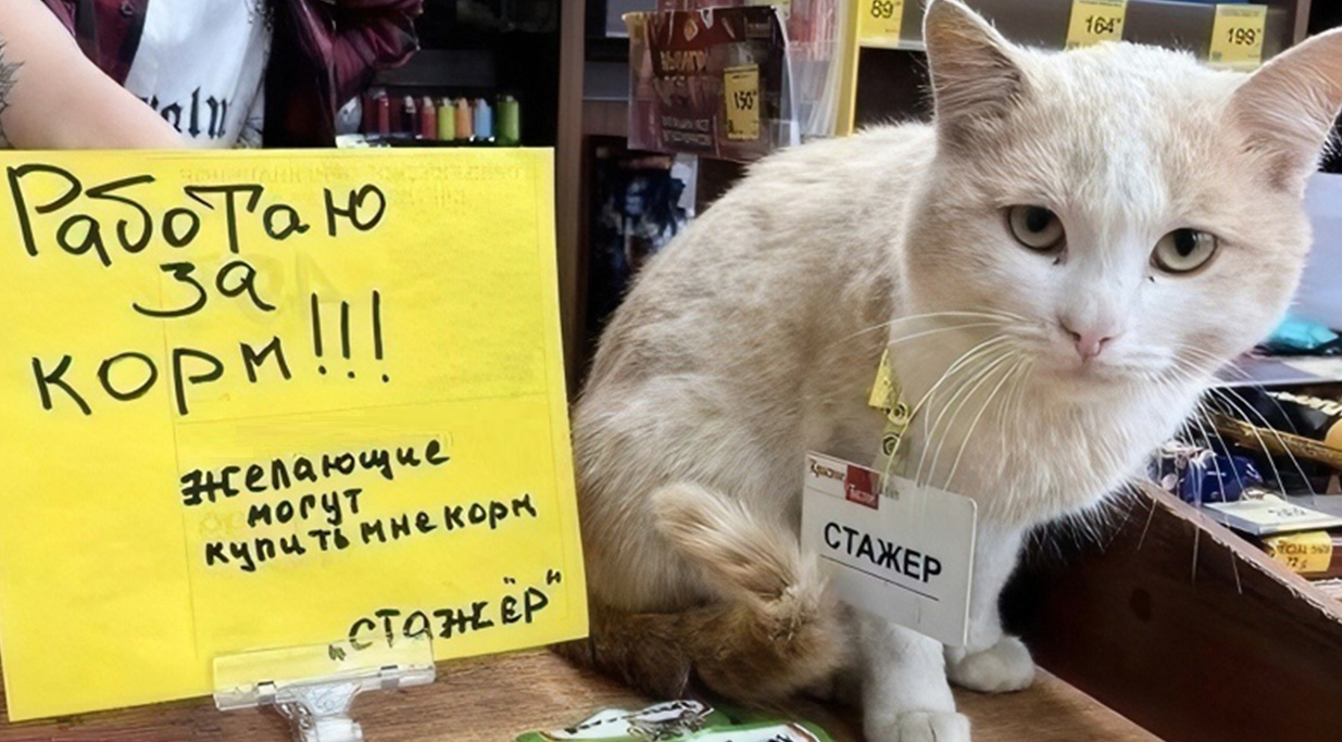 Стажировка за границей для студентов: возможно ли это?