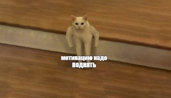 Как написать мотивационное письмо в аспирантуру?