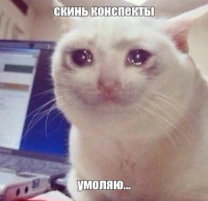 Сервисы для конспектов: как облегчить себе запись лекций
