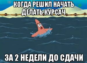 Какие типы курсовых работ существуют, и чем они отличаются?