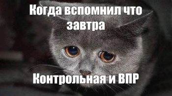 Какие существуют виды контрольных работ?