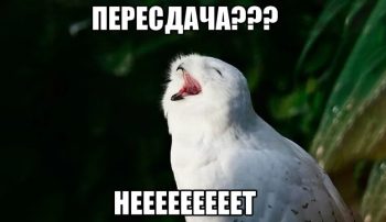 Как происходит пересдача диплома, и можно ли защититься повторно?