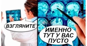Какие существуют виды научно исследовательских работ в ВУЗах?