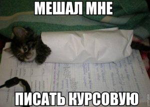 Где можно заказать курсовую работу: быстро, качественно и недорого?