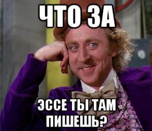 Аргументация в эссе: как правильно оформить?